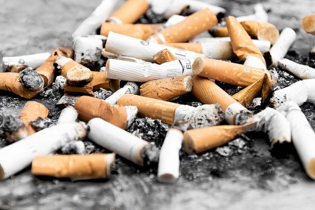 Kanserle Mücadele Vakfı’ndan çağrı: Sigara filtresine uluslararası yasak gelsin