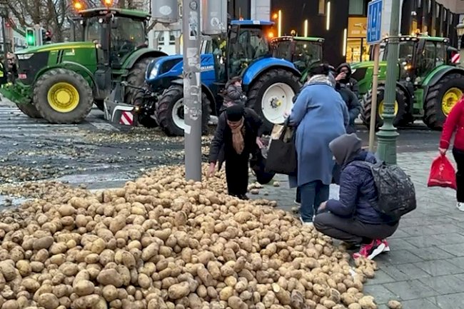 Çiftçilerden sert protesto: Brüksel’in Tarihi Meydanı tonlarca patatesle doldu