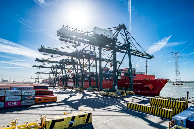 Antwerpen Limanı’nda uyuşturucu alarmı: 300’ü aşkın alışan görevden uzaklaştırıldı