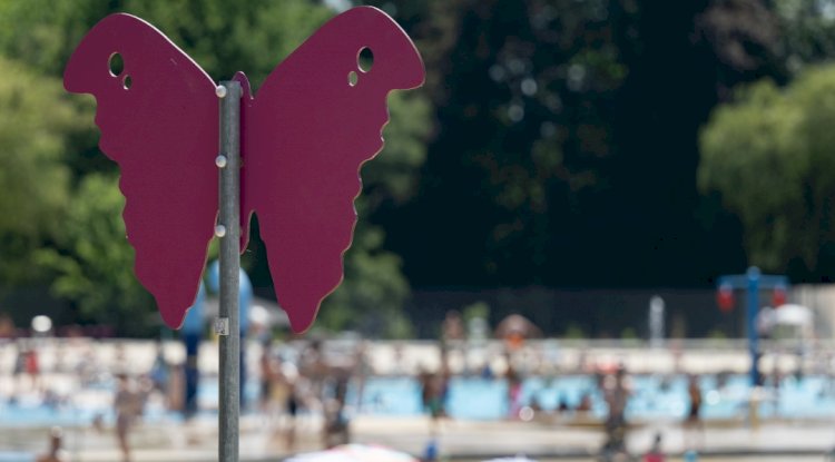 Flaman İnsan Hakları Enstitüsü: Burkini yasağı ayrımcılık, yönetmelik değiştirilmeli