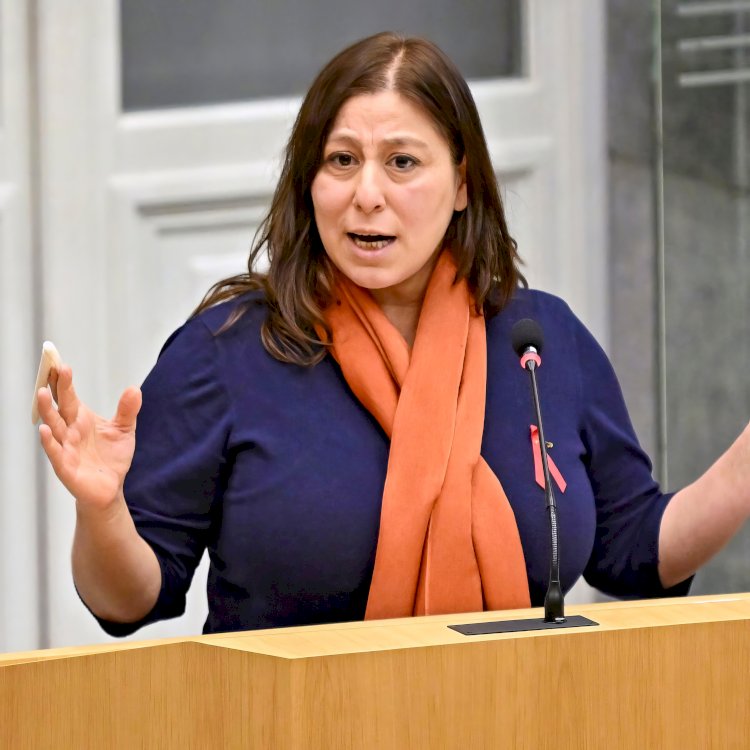 Meyrem Almaci'den Arizona hükümetine sert eleştiriler: "Kadınlar için çorak bir çöl"