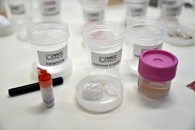Avrupa şehirlerinde uyuşturucu kullanımı: Amsterdam, MDMA ve ketamin kullanımında zirvede