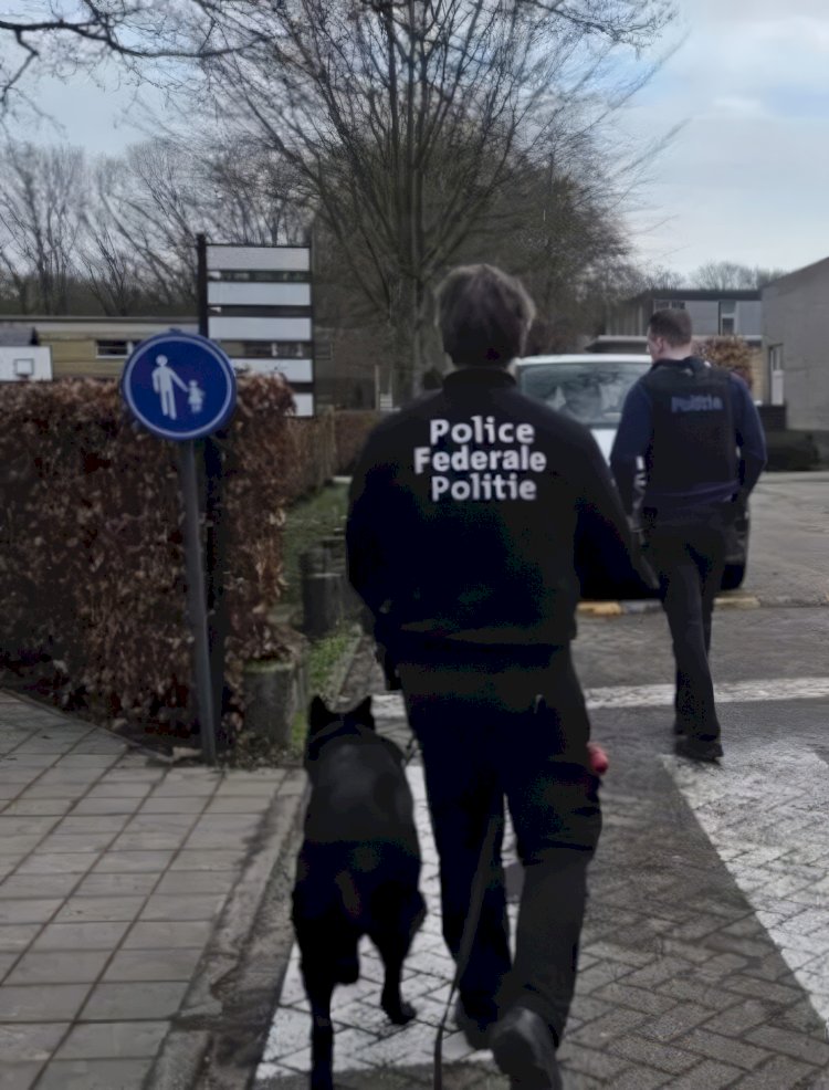 Brecht’te Okulda Narkotik Köpekli Denetim: 78 Öğrenci Arandı, Uyuşturucu Bulunmadı